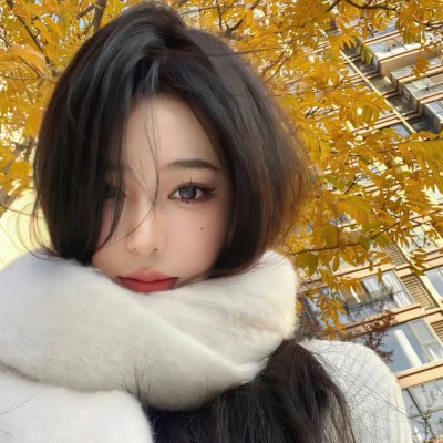 暴风雪中的白鸟